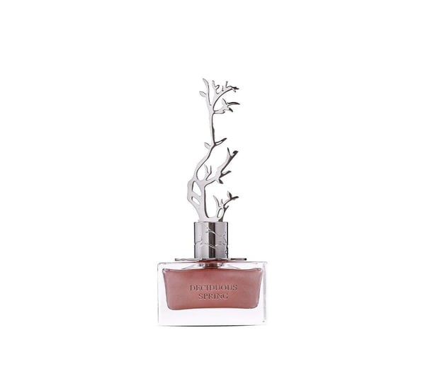 Aurora - Deciduous Spring - EDP 100 ml + EDP 9 ml