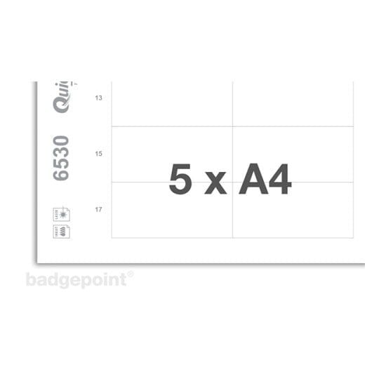 Navneskilt Badgepoint® 70x30 mm, Polar® Classic 30 Medarbejderskiltesæt, skilte med antracit ramme, akrylglas og printbare indstik - 20 skilte inkl...