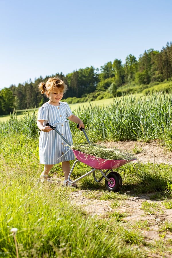 Rolly Toys 274802 metallinen kottikärry, pinkki