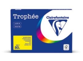 Clairefontaine 1973PC, Kunstark/-papir, 80 g/m², 500 ark