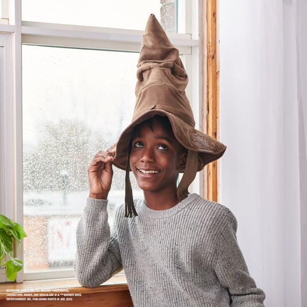 Wizarding World Harry Potter, Talking Sorting Hat with 15 Phrases for Pretend Play, ONLY German language