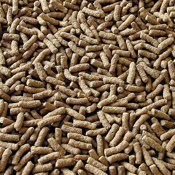 sera 07190, Damfisk, Tørr fiskemat, Pellet, Vitamin A, Vitamin B1, Vitamin B2, Vitamin C, Vitamin D3, Vitamin E, Stor, Medium, 32,1%