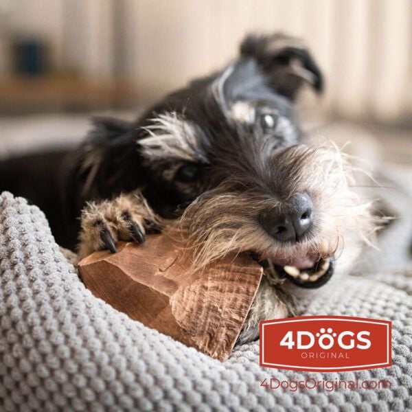 4DOGS KORZEN_S, Hund, Godteleke, Brun, Tygging, Polen, 150 g