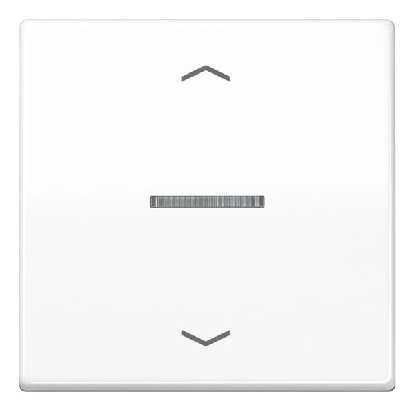 Jung HOME painike 1gang BTA17101PWW nuolisymboleilla 1 (BTA17101PWW)