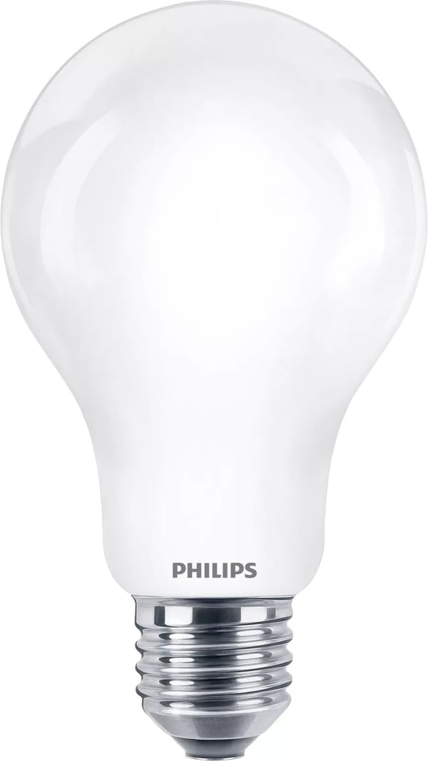 Philips - LED-lyspære - form: A67 - mattslipt finish - E27 - 13 W (ekvivalent 120 W) - klasse D - kjølig dagslys - 6500 K