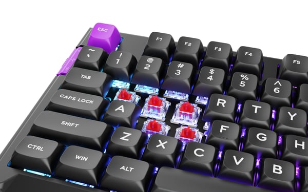 PREYON Silent Claw TKL Yellow Gateron Yellow Pro Keyboard