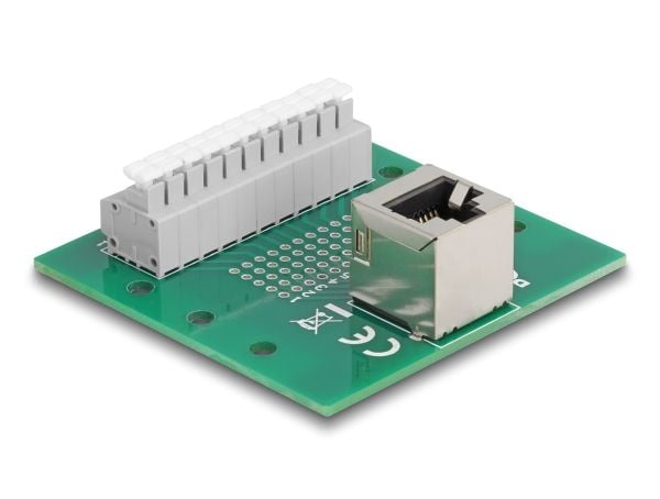 Delock - Nettverksadapter - RJ-50 (hunn) vinklet til 11-pinners terminalblokk - DIN-rail mountable, trykknapp, 3,81 mm stigning, stifttilordning: 1:1