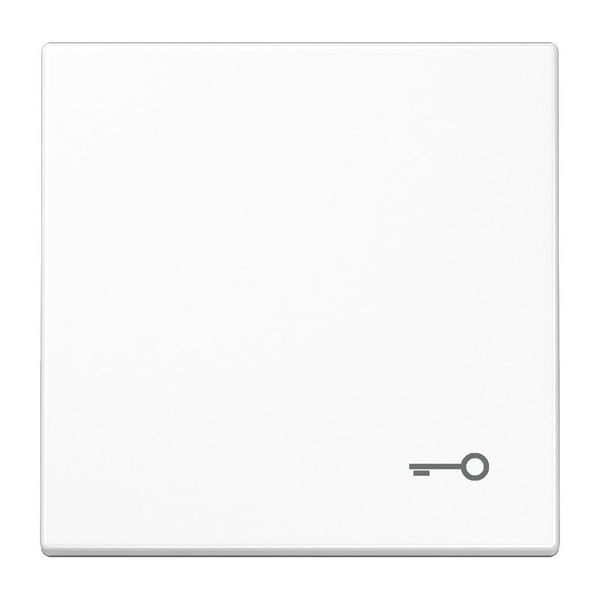 Jung-kannen keinukannen symboli "avain" LS 990, LS design, LS plus alppivalkoinen LS 990 T WW (LS 990 T WW)