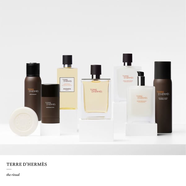 Hermes Terre D'Hermes Eau De Toilette Spray 50ml