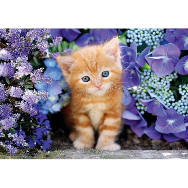 Clementoni Puslespil HQC Ginger Cat - Compact Box, 500 brikker