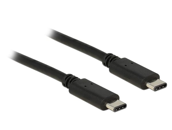 Delock - USB-kabel - USB-C (hann) til USB-C (hann) - USB 2.0 - 50 cm - svart
