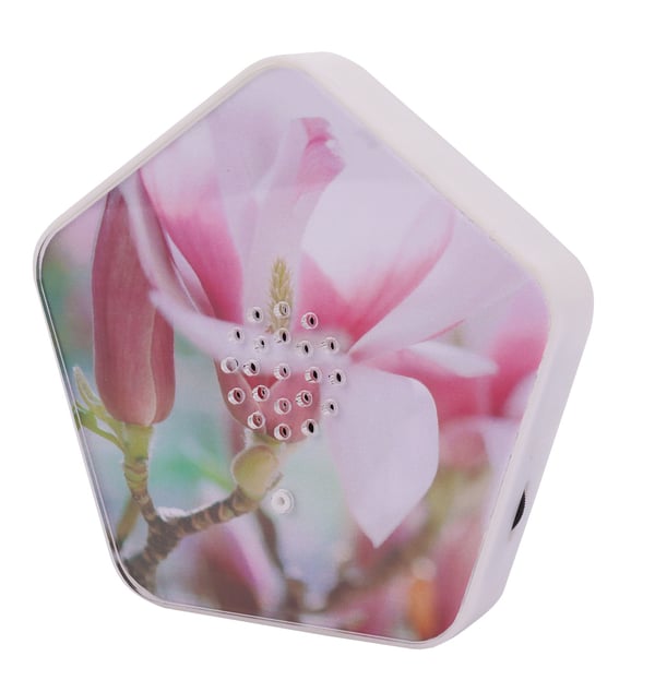 Olympia Olymp Nature BOX -tietokonekaiuttimet