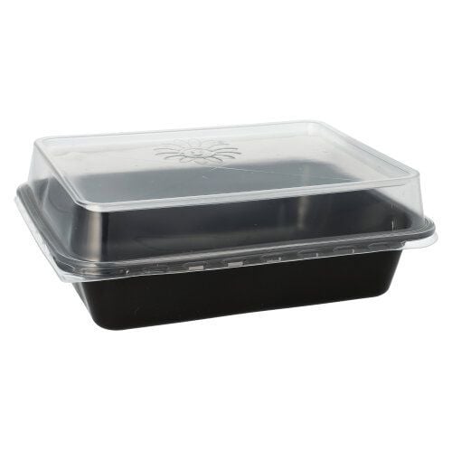 Papstar 96552, Polypropylen (PP), Svart, 227 mm, 178 mm, 45 mm, 20 styck