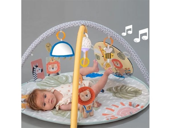 TAF Savannah 360 Activity Gym