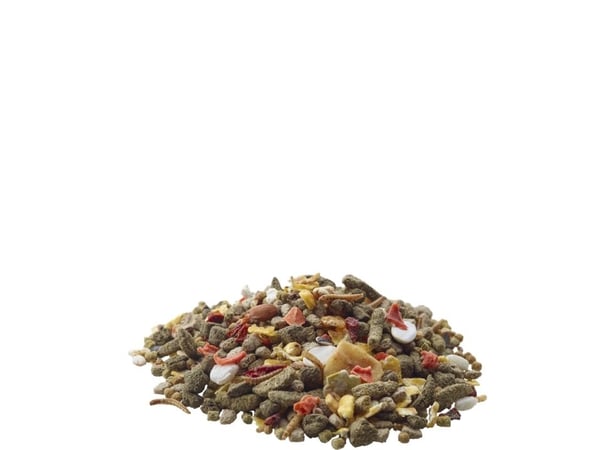 Versele-Laga Gerbil Nature, Frön, 700 g, Ökenråtta, Vitamin A, Vitamin D3, Vitamin E, Koppar, Jod, Strykjärn, Manganese, Selen, Zink, 16,5%
