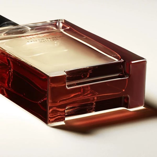 Hermès Terre d’Hermès Intense -hajuvesi, Eau de Parfum 100 ml, miehille