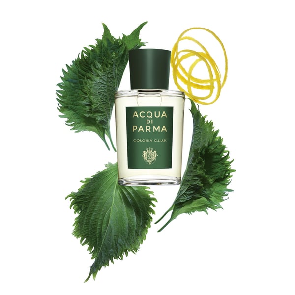 Acqua Di Parma Colonia C.L.U.B. -kölninvesi, suihkepullo, 180 ml