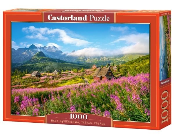 Castorland Hala Gasienicowa, Tatras, Poland 1000 pcs, 1000 stykker, Landskap, 9 år