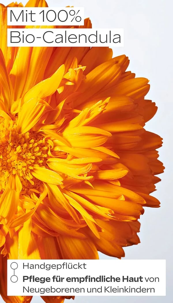 Calendula Bodymilk