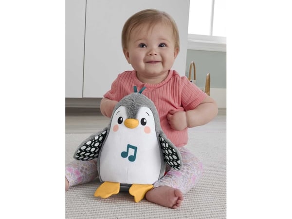 Fisher-Price -pehmolelu, Flap & Wobble -pingviini, musiikkilelu vastasyntyneille, Pingviini, 0 vuosi/vuosia, Tuottaa ääntä, AA, Sisältää paristot