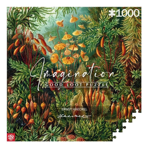 Cenega Imagination, 1000 styck, Konst