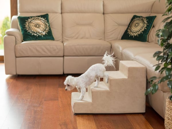 HOBBYDOG LARGE STAIRS SAVOY BEIGE 40CM