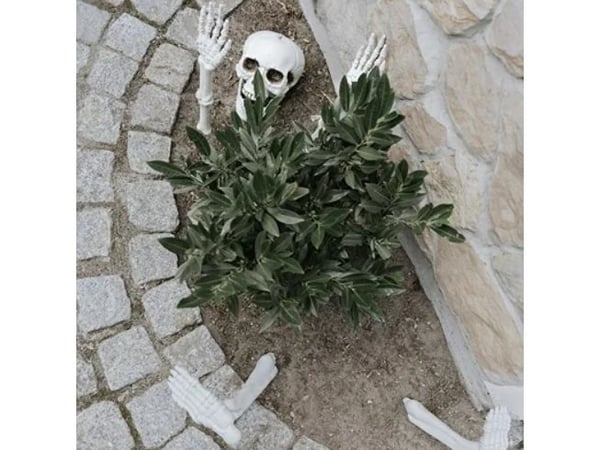 PartyDeco Skeleton, Dekoration, Polypropylen (PP), Vit, Halloween