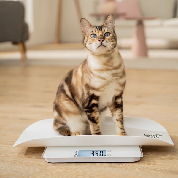 Beurer PetCare PP170 Polly multifunksjonsvekt