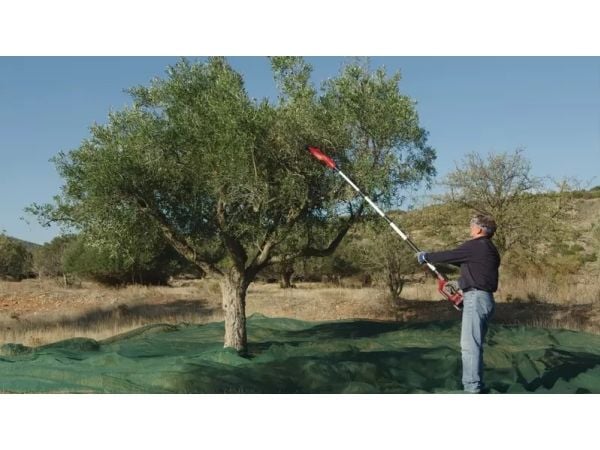 Einhell GE-FS 18/53 Li-Solo, Svart, Röd, Plast, Plast, 530 mm, 182 cm - SOLO