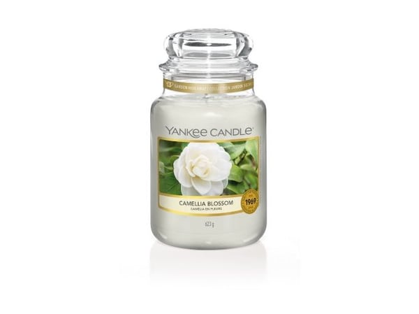 Yankee Candle 10.00115.0679, Muu, Läpinäkyvä, Valkoinen, 150 h, 1 kpl