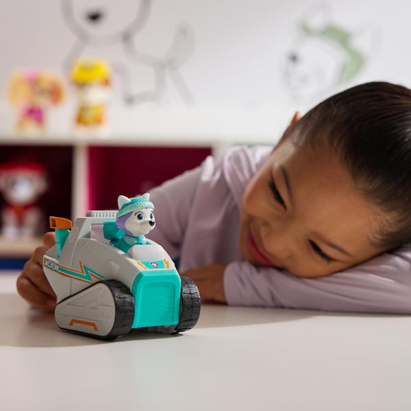 Paw Patrol Basic Vehicle 2.0 - Everest