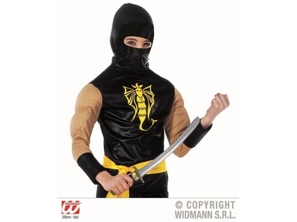 Ninja kniv