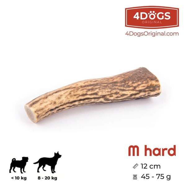 4DOGS R12, Hund, Godteleke, Beige, Brun, Tygging, Polen, 120 mm