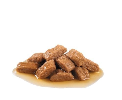 Royal Canin SHN Dog Medium Adult Gravy 10x140 g