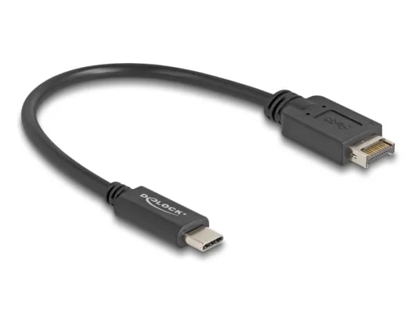 Delock - USB-kabel - 20 pin Key A (hann) til 24 pin USB-C (hann) - USB 3.2 Gen 2 - 25 cm