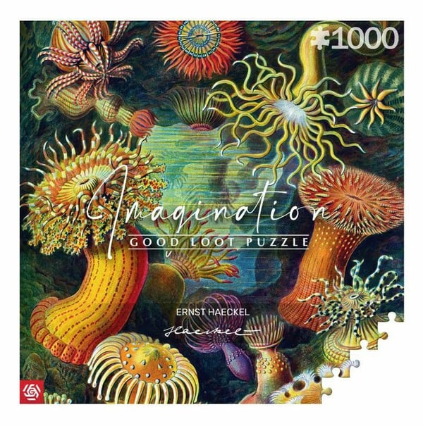 Puslespill Good Loot 1000 Imagination Ernst Haeckel Sea Creatures