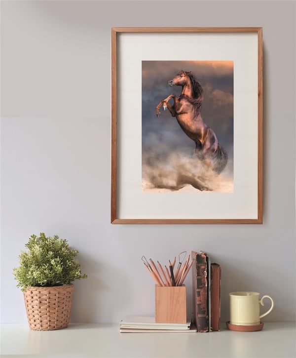 Clementoni Puslespil HQC Wild Red Stallion Compact Box, 500 brikker