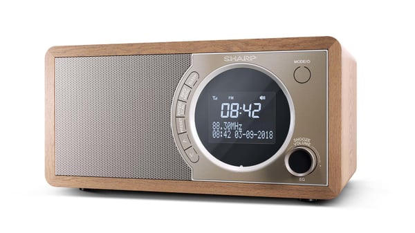 Sharp DR-450 - DAB-radio - 3 watt (Total) - brun