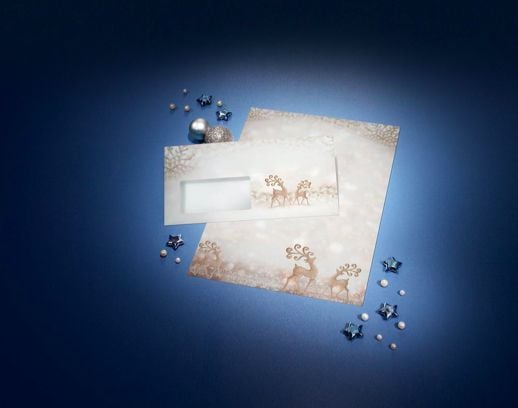 Sigel DU228 - DL (110 x 220 mm) - Ruskea - Hopea - 90 g/m² - 110 mm - 220 mm - Saksa (DU228) - Saksa (DU228)