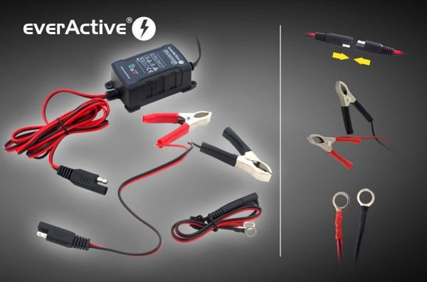 EverActive automatisk batteriladdare 6V/12V 1A (4995726)