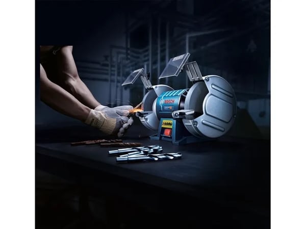 Bosch GBG Professional 60-20 bänkslipmaskin 600 W 200 mm