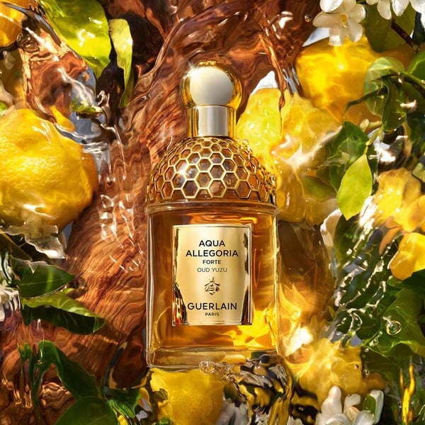 Guerlain GUERLAIN AQUA ALLEGORY FORTE OUD YUZU (W) EDP/S 75ML