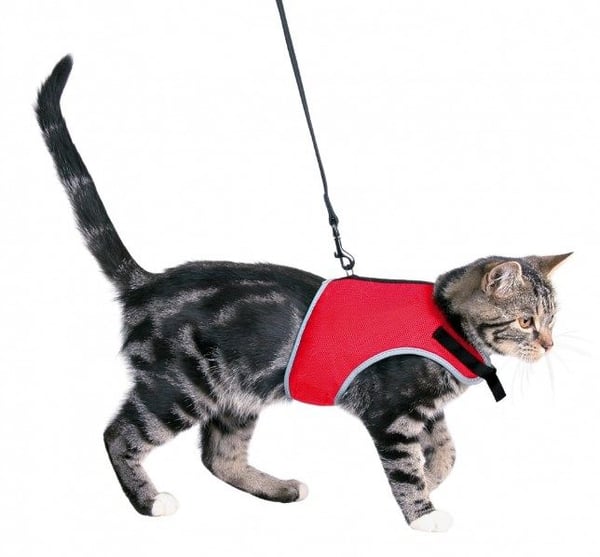 TRIXIE 41896, Katt, Vest, Nylon, Monokromatisk, 24 cm, 42 cm