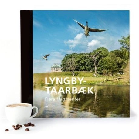 Lyngby-Taarbæk – Flere fragmenter | Morten Ehrhorn, Justin Hummerston | Språk: Dansk