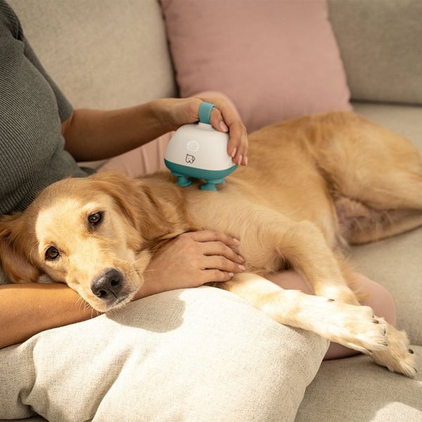 Beurer PetCare PP410 Buddy Massager
