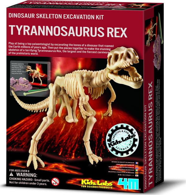 Borella Fun Science Scava Un Fossile T-Rex, 6 år