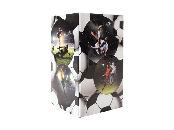 HERMA pennfodral fotboll