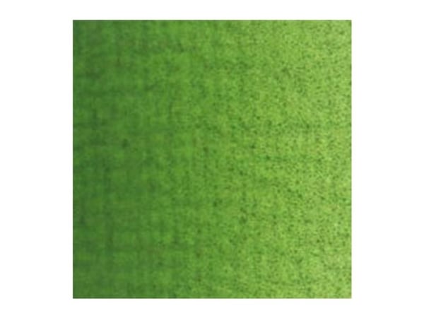 Van Gogh oljemalingsrør Sap Green 623