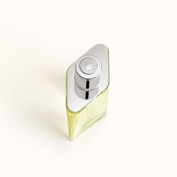 Hermes - H24 - 100 ml