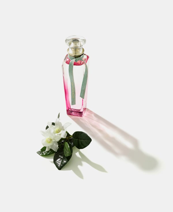 Adolfo Dominguez Agua Fresca De Gardenia Musk Eau De Toilette Spray 120ml